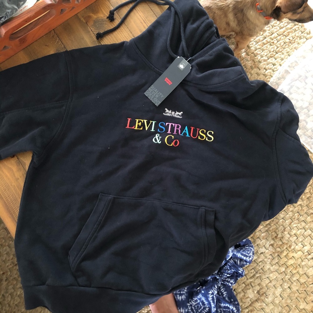 LEVI’S ❤️🔥 NWT OVERSIZED SWEATSHIRT XS/SMALL - Picture 2 of 4